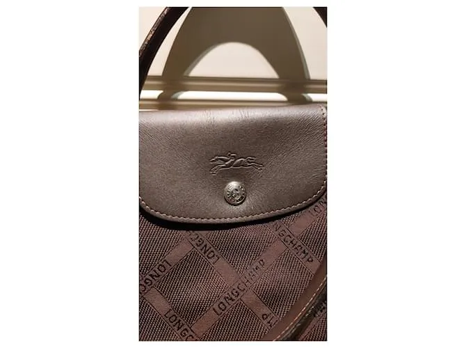 Longchamp Bolsos de mano Castaño 