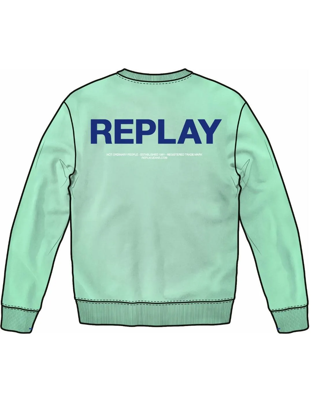 Sudadera Replay verde agua sin capucha para hombre