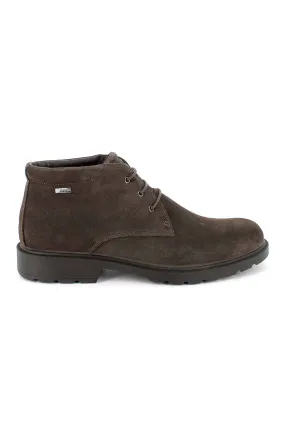 Zapato Igi & Co. 2604311 Caffe GTX