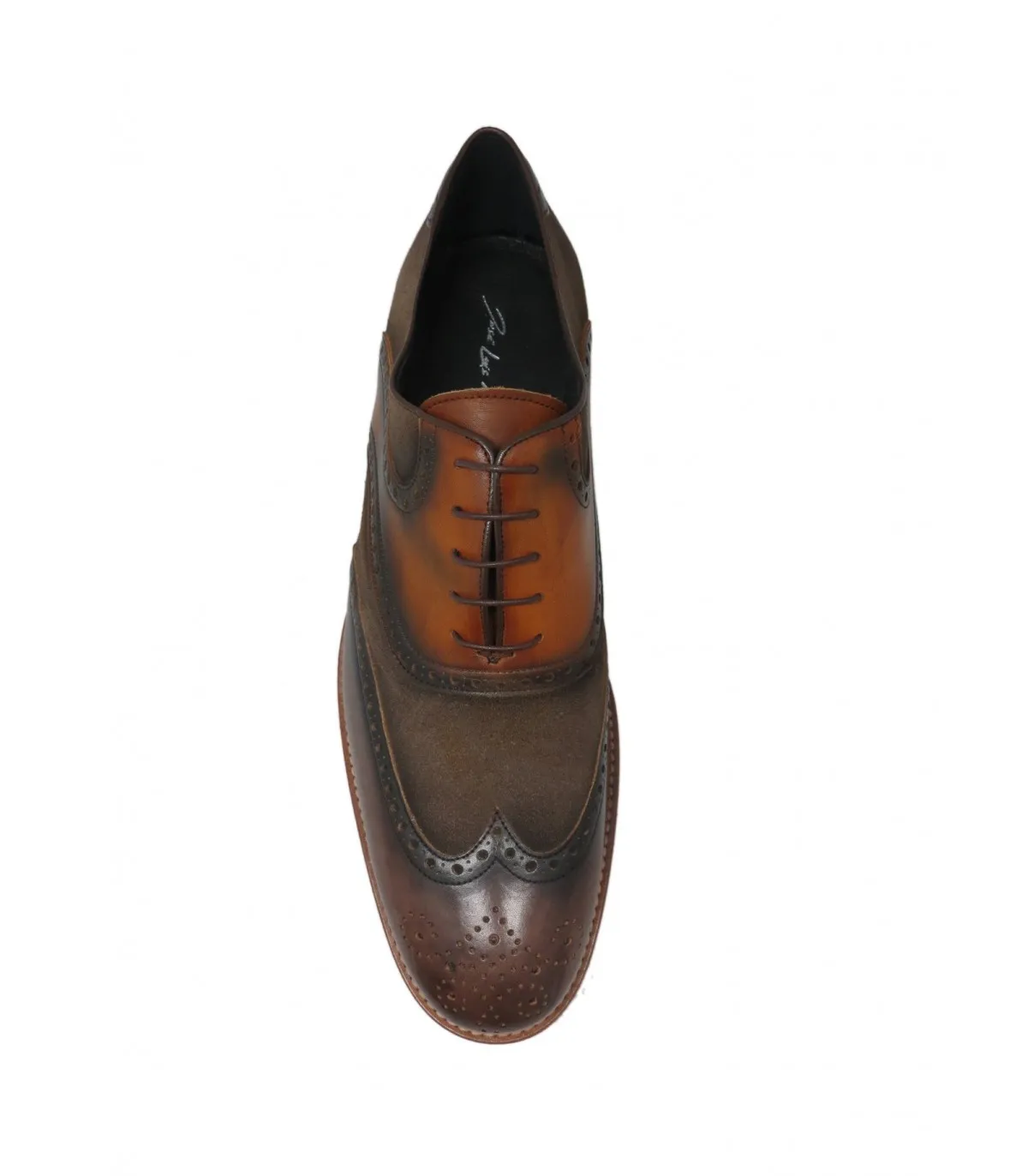 zapato oxford